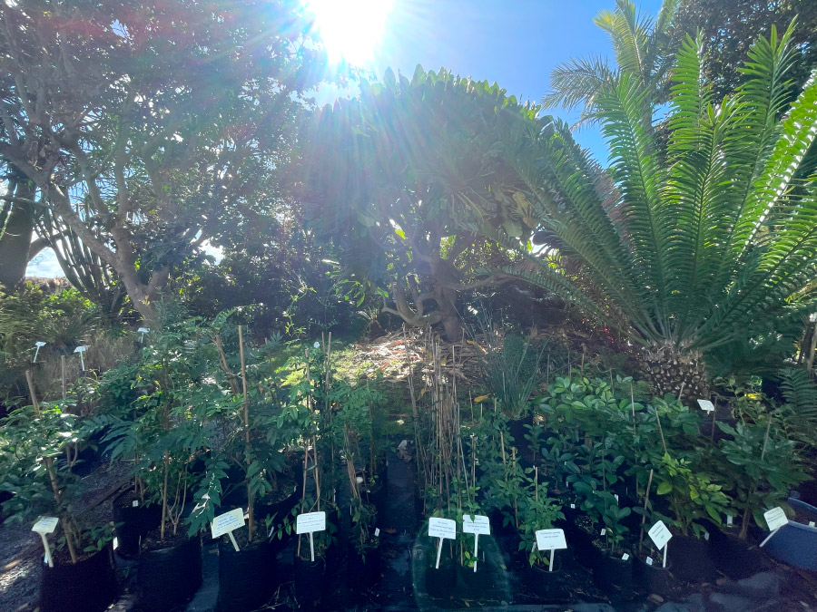 Bream Bay Greenworld Climbers